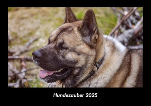 Hundezauber 2025 Fotokalender DIN A3: Monatskalender mit Bild-Motiven von Haustieren, Bauernhof, wilden Tieren und Raubtieren Hundezauber 2025 Fotokalender DIN A3: Monatskalender mit Bild-Motiven von Haustieren, Bauernhof, wilden Tieren und Raubtieren
