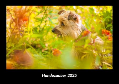 Hundezauber 2025 Fotokalender DIN A3: Monatskalender mit Bild-Motiven von Haustieren, Bauernhof, wilden Tieren und Raubtieren Hundezauber 2025 Fotokalender DIN A3: Monatskalender mit Bild-Motiven von Haustieren, Bauernhof, wilden Tieren und Raubtieren