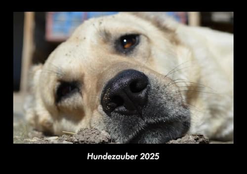 Hundezauber 2025 Fotokalender DIN A3: Monatskalender mit Bild-Motiven von Haustieren, Bauernhof, wilden Tieren und Raubtieren Hundezauber 2025 Fotokalender DIN A3: Monatskalender mit Bild-Motiven von Haustieren, Bauernhof, wilden Tieren und Raubtieren