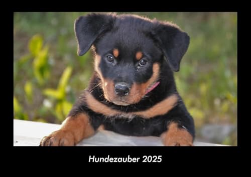 Hundezauber 2025 Fotokalender DIN A3: Monatskalender mit Bild-Motiven von Haustieren, Bauernhof, wilden Tieren und Raubtieren Hundezauber 2025 Fotokalender DIN A3: Monatskalender mit Bild-Motiven von Haustieren, Bauernhof, wilden Tieren und Raubtieren