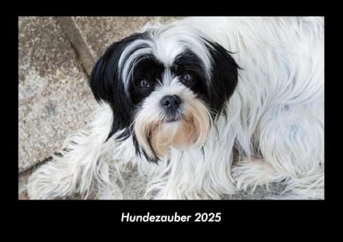 Hundezauber 2025 Fotokalender DIN A3: Monatskalender mit Bild-Motiven von Haustieren, Bauernhof, wilden Tieren und Raubtieren Hundezauber 2025 Fotokalender DIN A3: Monatskalender mit Bild-Motiven von Haustieren, Bauernhof, wilden Tieren und Raubtieren