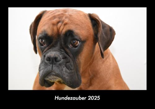 Hundezauber 2025 Fotokalender DIN A3: Monatskalender mit Bild-Motiven von Haustieren, Bauernhof, wilden Tieren und Raubtieren Hundezauber 2025 Fotokalender DIN A3: Monatskalender mit Bild-Motiven von Haustieren, Bauernhof, wilden Tieren und Raubtieren