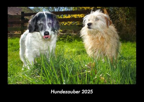 Hundezauber 2025 Fotokalender DIN A3: Monatskalender mit Bild-Motiven von Haustieren, Bauernhof, wilden Tieren und Raubtieren Hundezauber 2025 Fotokalender DIN A3: Monatskalender mit Bild-Motiven von Haustieren, Bauernhof, wilden Tieren und Raubtieren