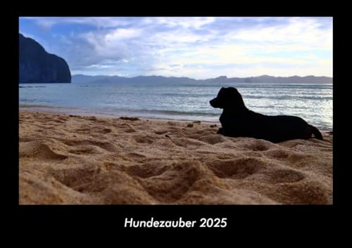 Hundezauber 2025 Fotokalender DIN A3: Monatskalender mit Bild-Motiven von Haustieren, Bauernhof, wilden Tieren und Raubtieren Hundezauber 2025 Fotokalender DIN A3: Monatskalender mit Bild-Motiven von Haustieren, Bauernhof, wilden Tieren und Raubtieren