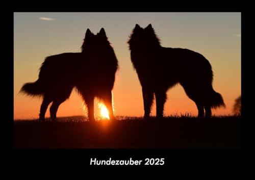Hundezauber 2025 Fotokalender DIN A3: Monatskalender mit Bild-Motiven von Haustieren, Bauernhof, wilden Tieren und Raubtieren Hundezauber 2025 Fotokalender DIN A3: Monatskalender mit Bild-Motiven von Haustieren, Bauernhof, wilden Tieren und Raubtieren