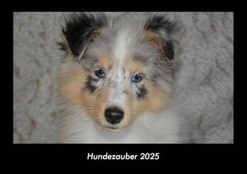 Hundezauber 2025 Fotokalender DIN A3: Monatskalender mit Bild-Motiven von Haustieren, Bauernhof, wilden Tieren und Raubtieren Hundezauber 2025 Fotokalender DIN A3: Monatskalender mit Bild-Motiven von Haustieren, Bauernhof, wilden Tieren und Raubtieren