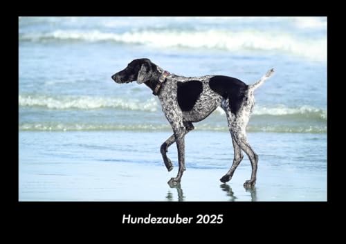 Hundezauber 2025 Fotokalender DIN A3: Monatskalender mit Bild-Motiven von Haustieren, Bauernhof, wilden Tieren und Raubtieren Hundezauber 2025 Fotokalender DIN A3: Monatskalender mit Bild-Motiven von Haustieren, Bauernhof, wilden Tieren und Raubtieren