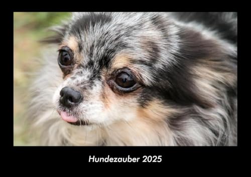 Hundezauber 2025 Fotokalender DIN A3: Monatskalender mit Bild-Motiven von Haustieren, Bauernhof, wilden Tieren und Raubtieren Hundezauber 2025 Fotokalender DIN A3: Monatskalender mit Bild-Motiven von Haustieren, Bauernhof, wilden Tieren und Raubtieren