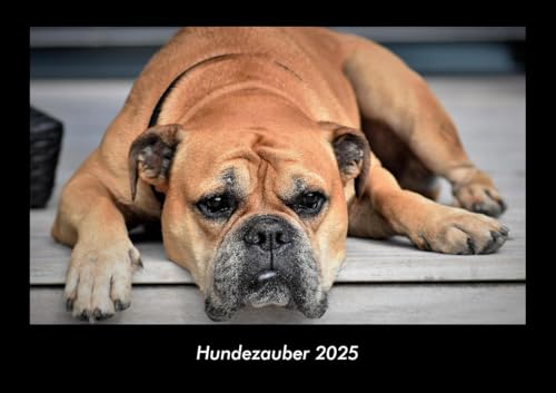 Hundezauber 2025 Fotokalender DIN A3: Monatskalender mit Bild-Motiven von Haustieren, Bauernhof, wilden Tieren und Raubtieren Hundezauber 2025 Fotokalender DIN A3: Monatskalender mit Bild-Motiven von Haustieren, Bauernhof, wilden Tieren und Raubtieren