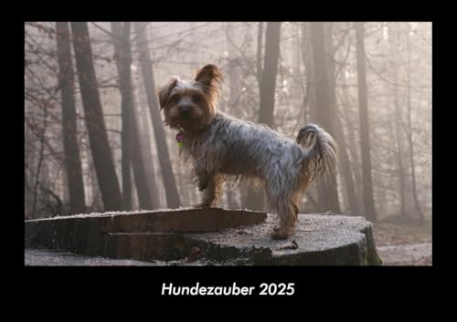 Hundezauber 2025 Fotokalender DIN A3: Monatskalender mit Bild-Motiven von Haustieren, Bauernhof, wilden Tieren und Raubtieren Hundezauber 2025 Fotokalender DIN A3: Monatskalender mit Bild-Motiven von Haustieren, Bauernhof, wilden Tieren und Raubtieren