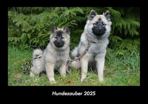 Hundezauber 2025 Fotokalender DIN A3: Monatskalender mit Bild-Motiven von Haustieren, Bauernhof, wilden Tieren und Raubtieren Hundezauber 2025 Fotokalender DIN A3: Monatskalender mit Bild-Motiven von Haustieren, Bauernhof, wilden Tieren und Raubtieren