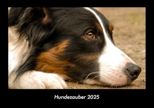 Hundezauber 2025 Fotokalender DIN A3: Monatskalender mit Bild-Motiven von Haustieren, Bauernhof, wilden Tieren und Raubtieren Hundezauber 2025 Fotokalender DIN A3: Monatskalender mit Bild-Motiven von Haustieren, Bauernhof, wilden Tieren und Raubtieren