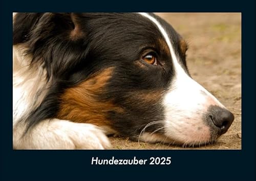 Hundezauber 2025 Fotokalender DIN A4: Monatskalender mit Bild-Motiven von Haustieren, Bauernhof, wilden Tieren und Raubtieren Hundezauber 2025 Fotokalender DIN A4: Monatskalender mit Bild-Motiven von Haustieren, Bauernhof, wilden Tieren und Raubtieren