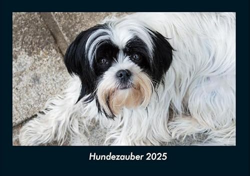 Hundezauber 2025 Fotokalender DIN A4: Monatskalender mit Bild-Motiven von Haustieren, Bauernhof, wilden Tieren und Raubtieren Hundezauber 2025 Fotokalender DIN A4: Monatskalender mit Bild-Motiven von Haustieren, Bauernhof, wilden Tieren und Raubtieren