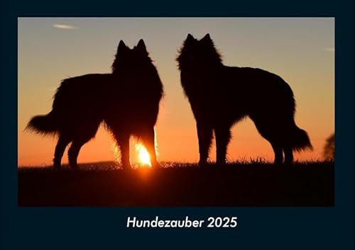 Hundezauber 2025 Fotokalender DIN A4: Monatskalender mit Bild-Motiven von Haustieren, Bauernhof, wilden Tieren und Raubtieren Hundezauber 2025 Fotokalender DIN A4: Monatskalender mit Bild-Motiven von Haustieren, Bauernhof, wilden Tieren und Raubtieren