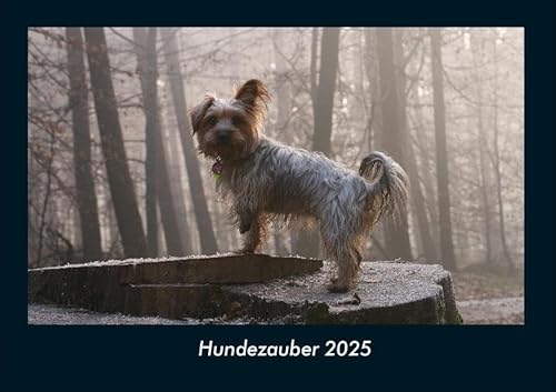 Hundezauber 2025 Fotokalender DIN A4: Monatskalender mit Bild-Motiven von Haustieren, Bauernhof, wilden Tieren und Raubtieren Hundezauber 2025 Fotokalender DIN A4: Monatskalender mit Bild-Motiven von Haustieren, Bauernhof, wilden Tieren und Raubtieren