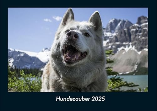 Hundezauber 2025 Fotokalender DIN A4: Monatskalender mit Bild-Motiven von Haustieren, Bauernhof, wilden Tieren und Raubtieren Hundezauber 2025 Fotokalender DIN A4: Monatskalender mit Bild-Motiven von Haustieren, Bauernhof, wilden Tieren und Raubtieren