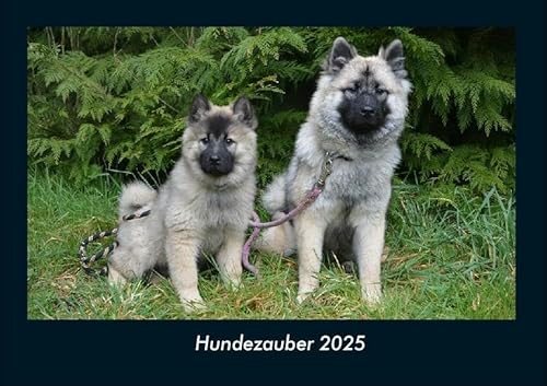 Hundezauber 2025 Fotokalender DIN A4: Monatskalender mit Bild-Motiven von Haustieren, Bauernhof, wilden Tieren und Raubtieren Hundezauber 2025 Fotokalender DIN A4: Monatskalender mit Bild-Motiven von Haustieren, Bauernhof, wilden Tieren und Raubtieren