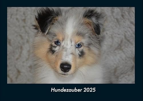 Hundezauber 2025 Fotokalender DIN A4: Monatskalender mit Bild-Motiven von Haustieren, Bauernhof, wilden Tieren und Raubtieren Hundezauber 2025 Fotokalender DIN A4: Monatskalender mit Bild-Motiven von Haustieren, Bauernhof, wilden Tieren und Raubtieren