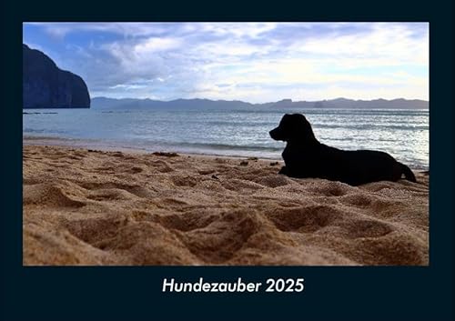 Hundezauber 2025 Fotokalender DIN A4: Monatskalender mit Bild-Motiven von Haustieren, Bauernhof, wilden Tieren und Raubtieren Hundezauber 2025 Fotokalender DIN A4: Monatskalender mit Bild-Motiven von Haustieren, Bauernhof, wilden Tieren und Raubtieren