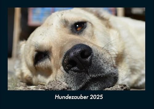 Hundezauber 2025 Fotokalender DIN A4: Monatskalender mit Bild-Motiven von Haustieren, Bauernhof, wilden Tieren und Raubtieren Hundezauber 2025 Fotokalender DIN A4: Monatskalender mit Bild-Motiven von Haustieren, Bauernhof, wilden Tieren und Raubtieren
