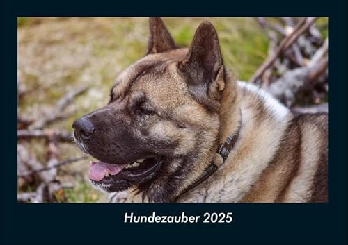 Hundezauber 2025 Fotokalender DIN A4: Monatskalender mit Bild-Motiven von Haustieren, Bauernhof, wilden Tieren und Raubtieren Hundezauber 2025 Fotokalender DIN A4: Monatskalender mit Bild-Motiven von Haustieren, Bauernhof, wilden Tieren und Raubtieren