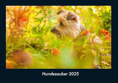 Hundezauber 2025 Fotokalender DIN A4: Monatskalender mit Bild-Motiven von Haustieren, Bauernhof, wilden Tieren und Raubtieren Hundezauber 2025 Fotokalender DIN A4: Monatskalender mit Bild-Motiven von Haustieren, Bauernhof, wilden Tieren und Raubtieren
