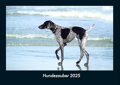 Hundezauber 2025 Fotokalender DIN A4: Monatskalender mit Bild-Motiven von Haustieren, Bauernhof, wilden Tieren und Raubtieren Hundezauber 2025 Fotokalender DIN A4: Monatskalender mit Bild-Motiven von Haustieren, Bauernhof, wilden Tieren und Raubtieren