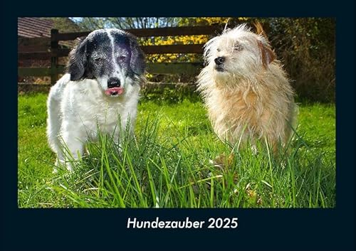Hundezauber 2025 Fotokalender DIN A4: Monatskalender mit Bild-Motiven von Haustieren, Bauernhof, wilden Tieren und Raubtieren Hundezauber 2025 Fotokalender DIN A4: Monatskalender mit Bild-Motiven von Haustieren, Bauernhof, wilden Tieren und Raubtieren