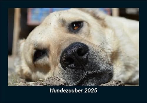 Hundezauber 2025 Fotokalender DIN A5: Monatskalender mit Bild-Motiven von Haustieren, Bauernhof, wilden Tieren und Raubtieren Hundezauber 2025 Fotokalender DIN A5: Monatskalender mit Bild-Motiven von Haustieren, Bauernhof, wilden Tieren und Raubtieren