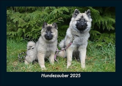 Hundezauber 2025 Fotokalender DIN A5: Monatskalender mit Bild-Motiven von Haustieren, Bauernhof, wilden Tieren und Raubtieren Hundezauber 2025 Fotokalender DIN A5: Monatskalender mit Bild-Motiven von Haustieren, Bauernhof, wilden Tieren und Raubtieren
