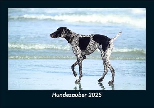 Hundezauber 2025 Fotokalender DIN A5: Monatskalender mit Bild-Motiven von Haustieren, Bauernhof, wilden Tieren und Raubtieren Hundezauber 2025 Fotokalender DIN A5: Monatskalender mit Bild-Motiven von Haustieren, Bauernhof, wilden Tieren und Raubtieren