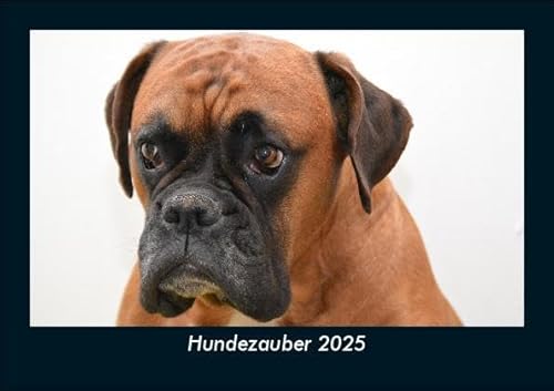 Hundezauber 2025 Fotokalender DIN A5: Monatskalender mit Bild-Motiven von Haustieren, Bauernhof, wilden Tieren und Raubtieren Hundezauber 2025 Fotokalender DIN A5: Monatskalender mit Bild-Motiven von Haustieren, Bauernhof, wilden Tieren und Raubtieren