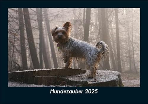 Hundezauber 2025 Fotokalender DIN A5: Monatskalender mit Bild-Motiven von Haustieren, Bauernhof, wilden Tieren und Raubtieren Hundezauber 2025 Fotokalender DIN A5: Monatskalender mit Bild-Motiven von Haustieren, Bauernhof, wilden Tieren und Raubtieren