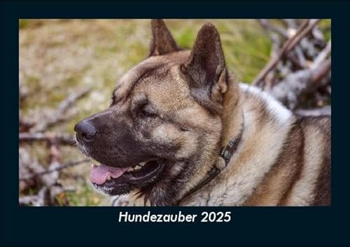 Hundezauber 2025 Fotokalender DIN A5: Monatskalender mit Bild-Motiven von Haustieren, Bauernhof, wilden Tieren und Raubtieren Hundezauber 2025 Fotokalender DIN A5: Monatskalender mit Bild-Motiven von Haustieren, Bauernhof, wilden Tieren und Raubtieren
