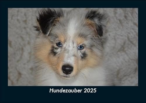Hundezauber 2025 Fotokalender DIN A5: Monatskalender mit Bild-Motiven von Haustieren, Bauernhof, wilden Tieren und Raubtieren Hundezauber 2025 Fotokalender DIN A5: Monatskalender mit Bild-Motiven von Haustieren, Bauernhof, wilden Tieren und Raubtieren