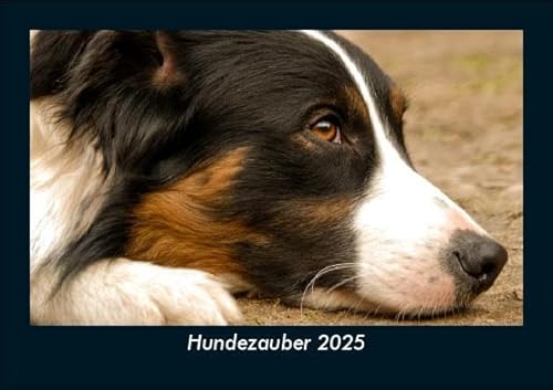 Hundezauber 2025 Fotokalender DIN A5: Monatskalender mit Bild-Motiven von Haustieren, Bauernhof, wilden Tieren und Raubtieren Hundezauber 2025 Fotokalender DIN A5: Monatskalender mit Bild-Motiven von Haustieren, Bauernhof, wilden Tieren und Raubtieren