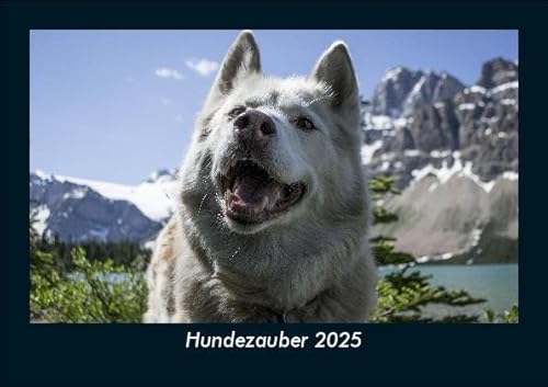 Hundezauber 2025 Fotokalender DIN A5: Monatskalender mit Bild-Motiven von Haustieren, Bauernhof, wilden Tieren und Raubtieren Hundezauber 2025 Fotokalender DIN A5: Monatskalender mit Bild-Motiven von Haustieren, Bauernhof, wilden Tieren und Raubtieren