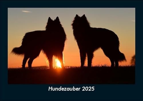 Hundezauber 2025 Fotokalender DIN A5: Monatskalender mit Bild-Motiven von Haustieren, Bauernhof, wilden Tieren und Raubtieren Hundezauber 2025 Fotokalender DIN A5: Monatskalender mit Bild-Motiven von Haustieren, Bauernhof, wilden Tieren und Raubtieren