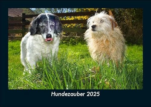 Hundezauber 2025 Fotokalender DIN A5: Monatskalender mit Bild-Motiven von Haustieren, Bauernhof, wilden Tieren und Raubtieren Hundezauber 2025 Fotokalender DIN A5: Monatskalender mit Bild-Motiven von Haustieren, Bauernhof, wilden Tieren und Raubtieren