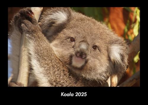 Koala 2025 Fotokalender DIN A3: Monatskalender mit Bild-Motiven von Haustieren, Bauernhof, wilden Tieren und Raubtieren Koala 2025 Fotokalender DIN A3: Monatskalender mit Bild-Motiven von Haustieren, Bauernhof, wilden Tieren und Raubtieren