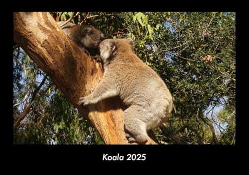 Koala 2025 Fotokalender DIN A3: Monatskalender mit Bild-Motiven von Haustieren, Bauernhof, wilden Tieren und Raubtieren Koala 2025 Fotokalender DIN A3: Monatskalender mit Bild-Motiven von Haustieren, Bauernhof, wilden Tieren und Raubtieren