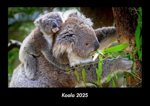 Koala 2025 Fotokalender DIN A3: Monatskalender mit Bild-Motiven von Haustieren, Bauernhof, wilden Tieren und Raubtieren Koala 2025 Fotokalender DIN A3: Monatskalender mit Bild-Motiven von Haustieren, Bauernhof, wilden Tieren und Raubtieren