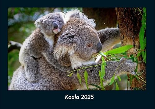 Koala 2025 Fotokalender DIN A4: Monatskalender mit Bild-Motiven von Haustieren, Bauernhof, wilden Tieren und Raubtieren Koala 2025 Fotokalender DIN A4: Monatskalender mit Bild-Motiven von Haustieren, Bauernhof, wilden Tieren und Raubtieren