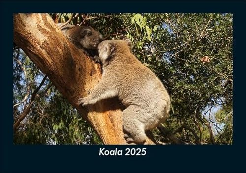 Koala 2025 Fotokalender DIN A5: Monatskalender mit Bild-Motiven von Haustieren, Bauernhof, wilden Tieren und Raubtieren Koala 2025 Fotokalender DIN A5: Monatskalender mit Bild-Motiven von Haustieren, Bauernhof, wilden Tieren und Raubtieren