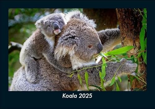 Koala 2025 Fotokalender DIN A5: Monatskalender mit Bild-Motiven von Haustieren, Bauernhof, wilden Tieren und Raubtieren Koala 2025 Fotokalender DIN A5: Monatskalender mit Bild-Motiven von Haustieren, Bauernhof, wilden Tieren und Raubtieren