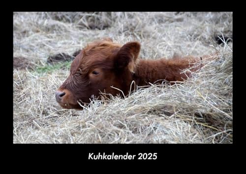 Kuhkalender 2025 Fotokalender DIN A3: Monatskalender mit Bild-Motiven von Haustieren, Bauernhof, wilden Tieren und Raubtieren Kuhkalender 2025 Fotokalender DIN A3: Monatskalender mit Bild-Motiven von Haustieren, Bauernhof, wilden Tieren und Raubtieren