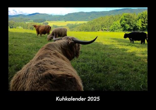 Kuhkalender 2025 Fotokalender DIN A3: Monatskalender mit Bild-Motiven von Haustieren, Bauernhof, wilden Tieren und Raubtieren Kuhkalender 2025 Fotokalender DIN A3: Monatskalender mit Bild-Motiven von Haustieren, Bauernhof, wilden Tieren und Raubtieren