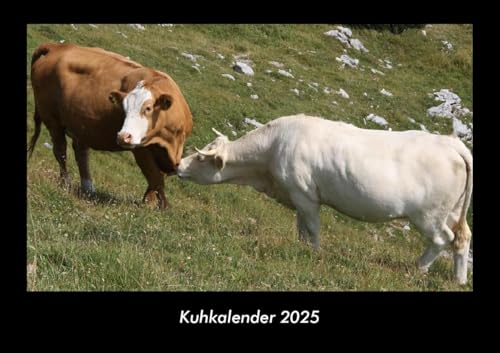 Kuhkalender 2025 Fotokalender DIN A3: Monatskalender mit Bild-Motiven von Haustieren, Bauernhof, wilden Tieren und Raubtieren Kuhkalender 2025 Fotokalender DIN A3: Monatskalender mit Bild-Motiven von Haustieren, Bauernhof, wilden Tieren und Raubtieren