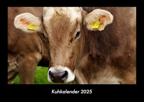 Kuhkalender 2025 Fotokalender DIN A3: Monatskalender mit Bild-Motiven von Haustieren, Bauernhof, wilden Tieren und Raubtieren Kuhkalender 2025 Fotokalender DIN A3: Monatskalender mit Bild-Motiven von Haustieren, Bauernhof, wilden Tieren und Raubtieren